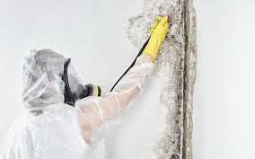 Best Mold Remediation for Healthcare Facilities  in Gettysburg, PA